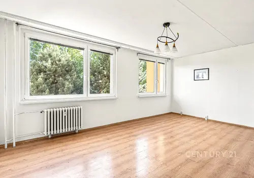Pokoj s výhledem do zeleně, byt 1+kk Řepy